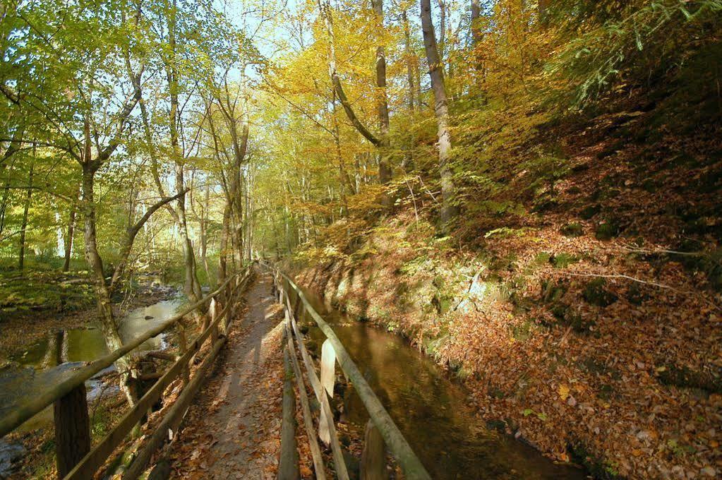 Waldhotel Im Wiesengrund Hürtgenwald Екстериор снимка